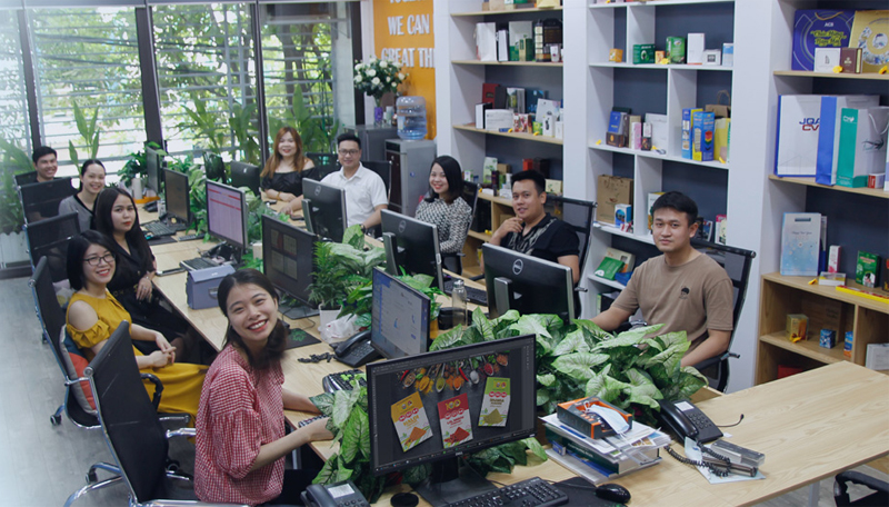 In Việt Dũng giai đoạn 2013 - 2016