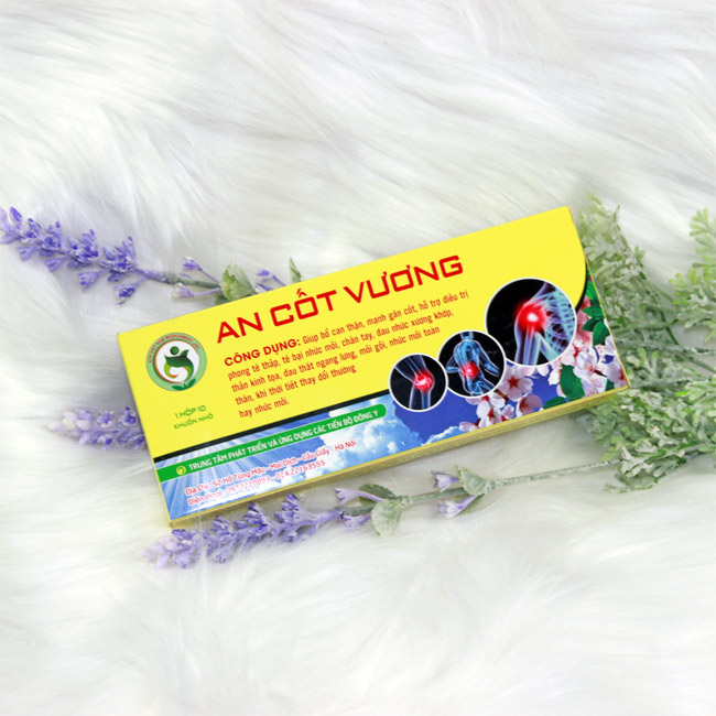 Mẫu hộp đựng thuốc An Cốt Vương
