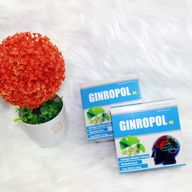 Mẫu hộp đựng thực phẩm bảo vệ sức khoẻ Ginropol