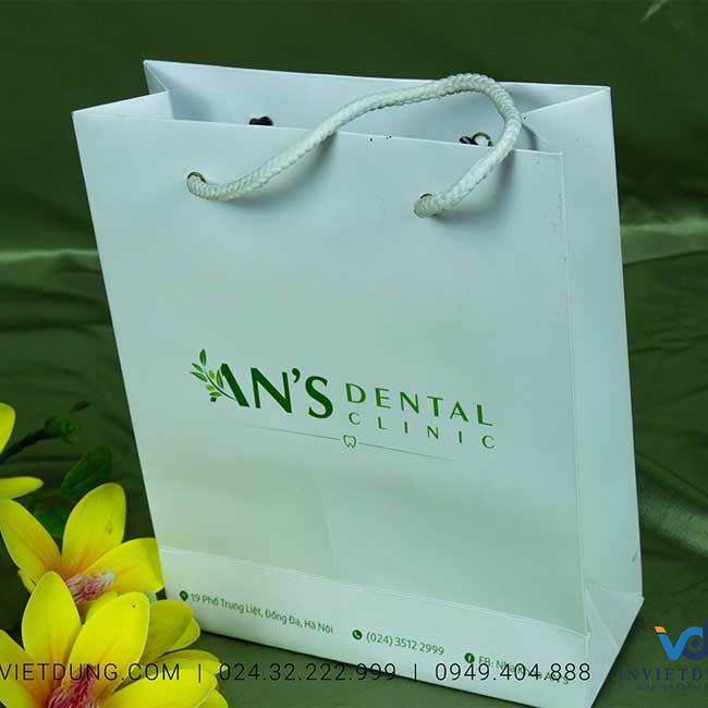 Mẫu túi giấy nha khoa An's Dental Clinic