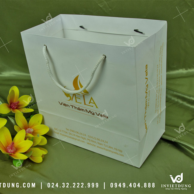 Mẫu túi giấy thẩm mỹ viện Vela