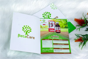 In brochure
