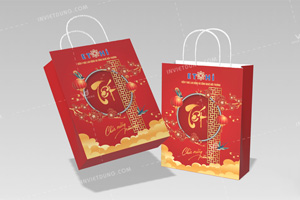 Mẫu túi giấy đựng quà Tết Viện Y học lao động