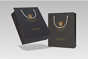 Mẫu túi giấy đựng phụ kiện thời trang Phan Hùng Luxury