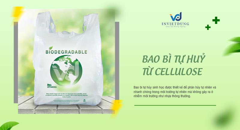 Bao bì tự hủy từ cellulose