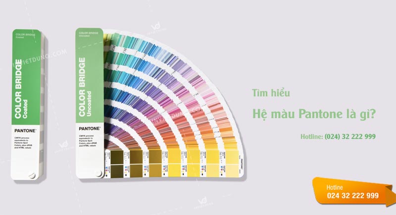 Hệ màu Pantone là gì