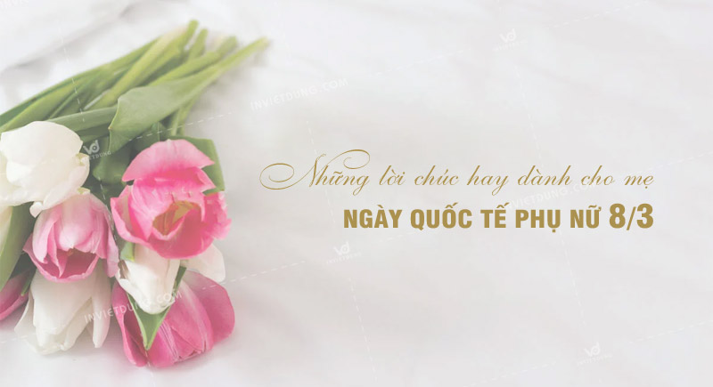 Những câu chúc 8 tháng 3 cho mẹ ý nghĩa