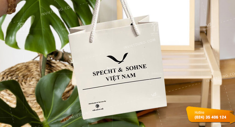 Mẫu in túi giấy đựng đồng hồ mẫu mã đẹp theo yêu cầu