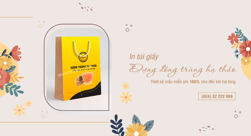 In túi giấy đựng đông trùng hạ thảo