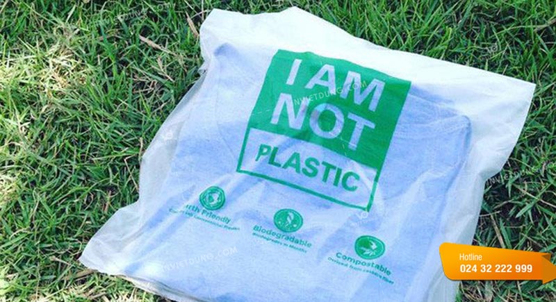 Bao bì tự hủy từ cellulose là gì?