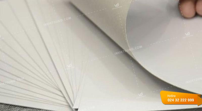 Các loại giấy được sử dụng phổ biến trong in ấn hiện nay là gì