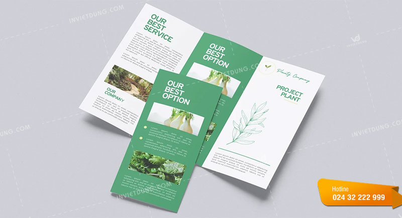 Kích thước brochure gấp 3