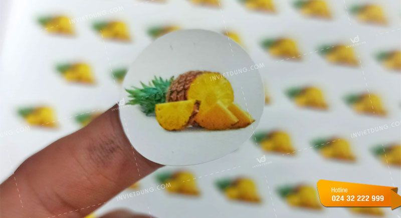Mẫu tem nhãn hoa quả, trái cây dứa