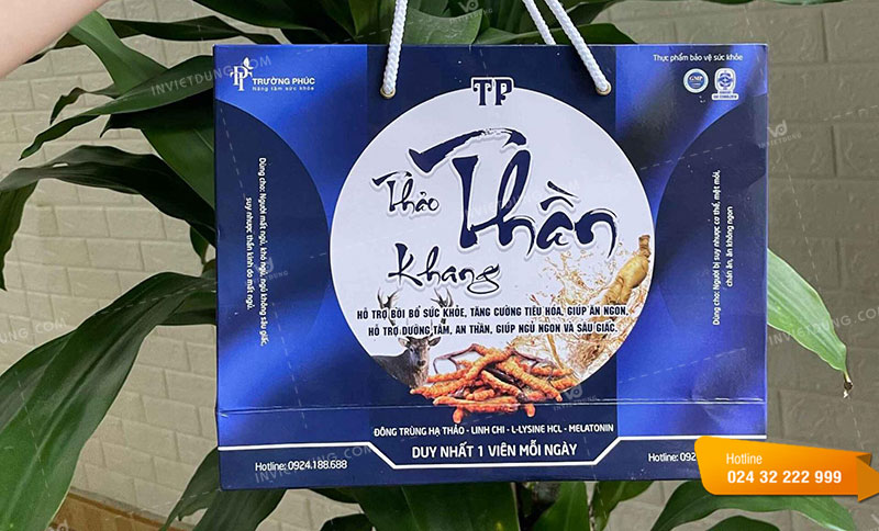 Mẫu túi giấy đựng thực phẩm chức năng đông trùng hạ thảo