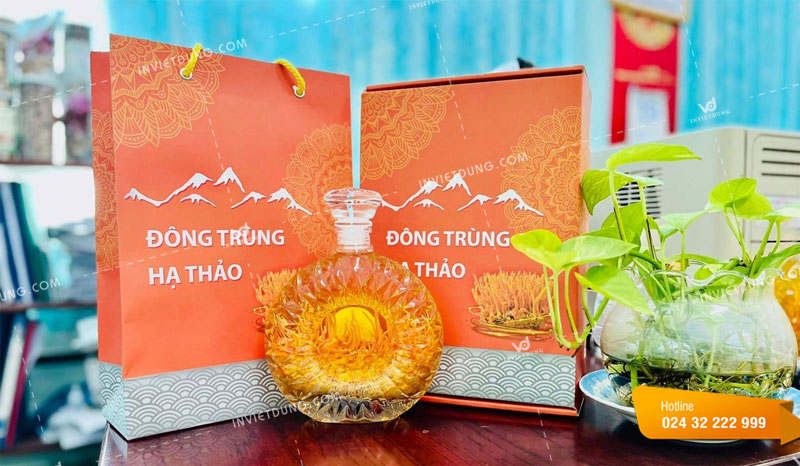 In túi giấy đựng đông trùng hạ thảo đẹp và sang trọng tại Hà Nội