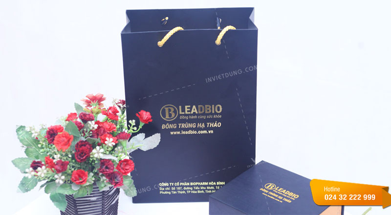 Mẫu túi giấy đựng đông trùng hạ thảo LEADBIO