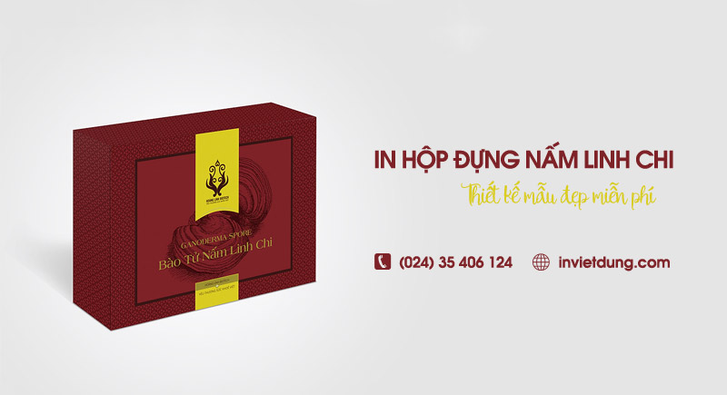In hộp giấy đựng nấm linh chi