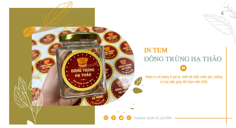 In tem đông trùng hạ thảo