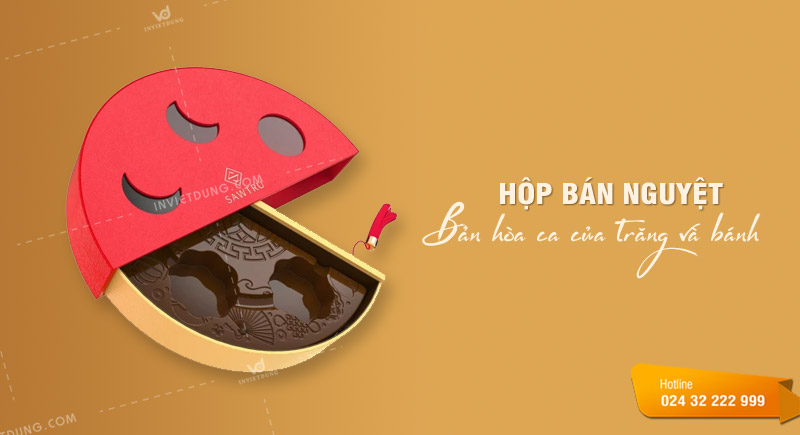 Hộp bán nguyệt là gì?