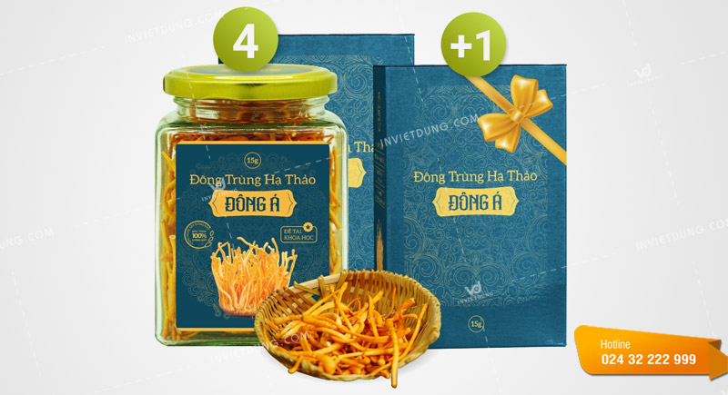 Mẫu hộp giấy đựng đông trùng hạ thảo