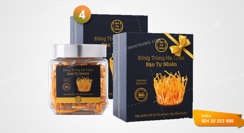 Mẫu hộp giấy đựng đông trùng hạ thảo