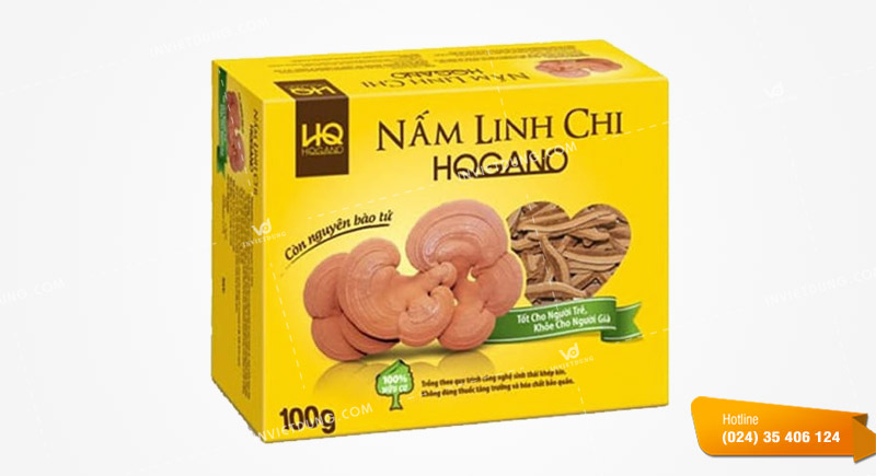 Mẫu hộp giấy đựng nấm linh chi đẹp
