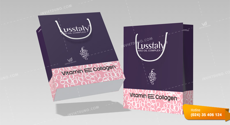 Mẫu túi giấy mỹ phẩm thương hiệu Lusstaly