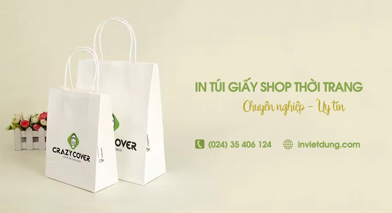 In túi cho shop thời trang 