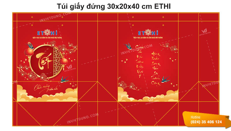 Mẫu túi giấy đựng quà Tết Viện Y học lao động