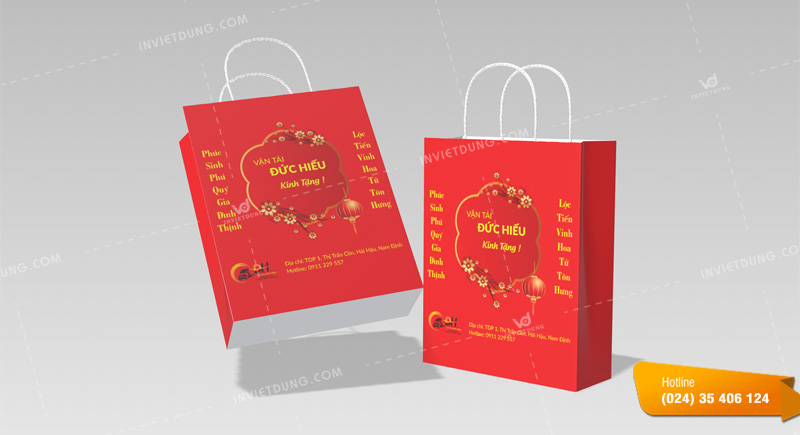 Mẫu túi giấy đựng quà Tết công ty vận tải Đức Hiếu