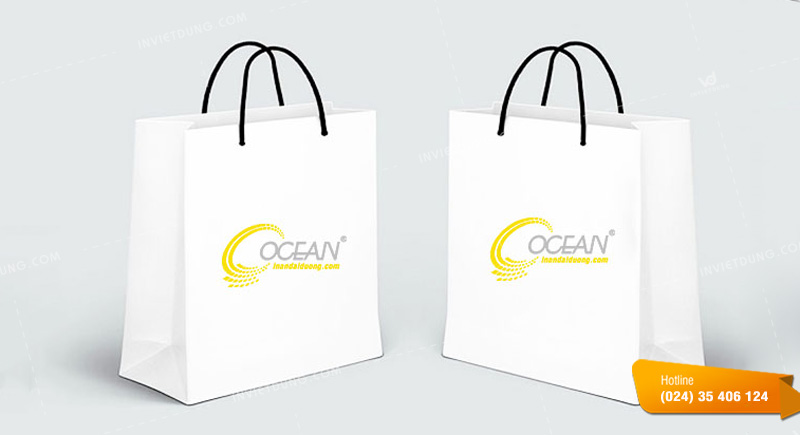 Mẫu túi giấy đựng quần áo cho nam