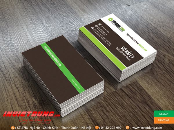 Mẫu Card visit về thực phẩm chức năng do In Việt Dũng thiết kế và in ấn