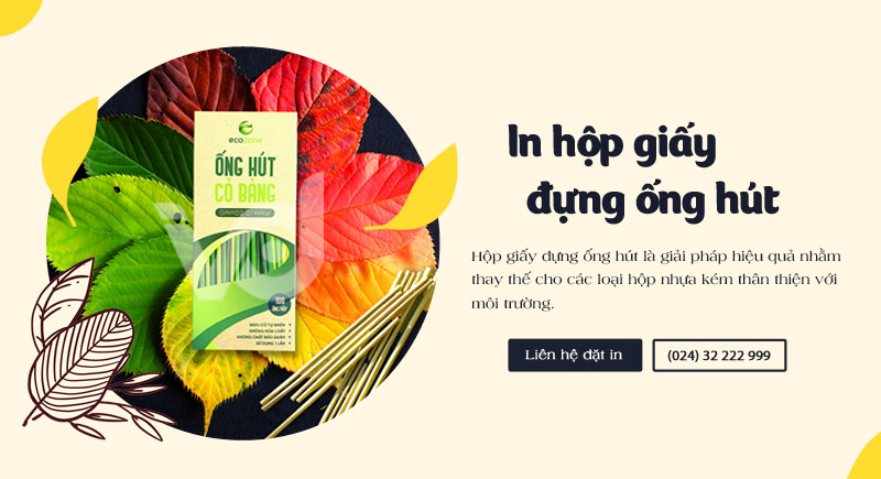 Xưởng In Việt Dũng nhận đặt in vỏ hộp đựng ống hút theo yêu cầu với mọi số lượng
