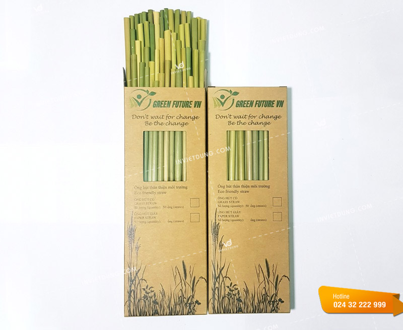 Mẫu bao bì hộp đựng ống hút tre độc đáo và chuyên nghiệp