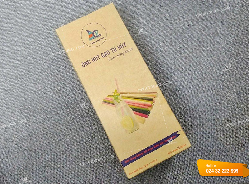 Mẫu vỏ hộp bằng giấy đựng ống hút gạo tự huỷ