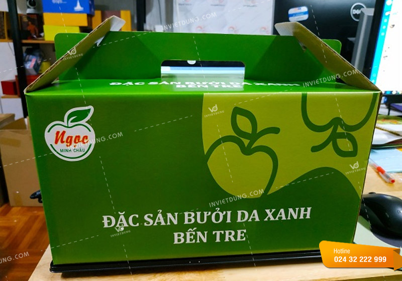 Mẫu hộp đựng đặc sản bười da xanh Bến Tre