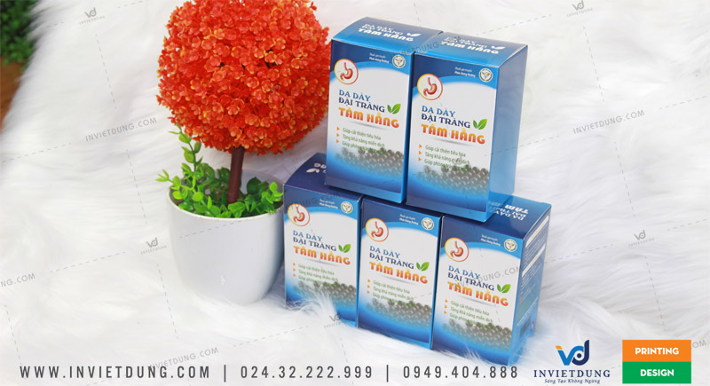 In hộp giấy giá rẻ tại Hải Phòng