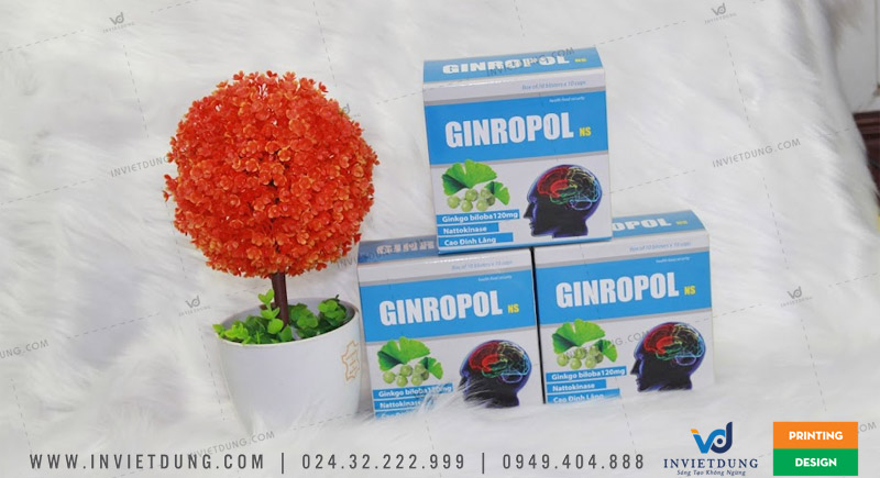 Mẫu vỏ hộp đựng thuốc dưỡng não GINROPOL với đầy đủ thông tin và chi tiết