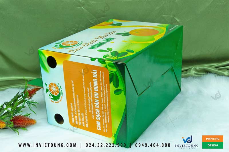 Mẫu hộp carton đựng cam sạch Vân Du Hùng Hải