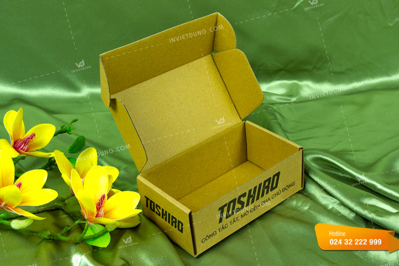 Mẫu hộp carton kiểu dáng nắp gập tai cài
