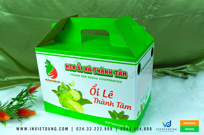 Mẫu hộp carton đựng ổi xã Thành Tâm