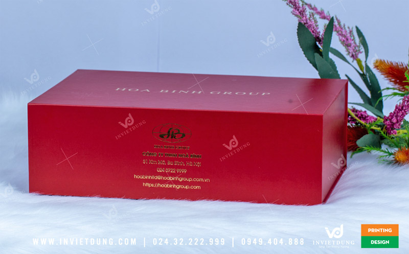 Mẫu hộp cứng cho công ty Hoà Bình