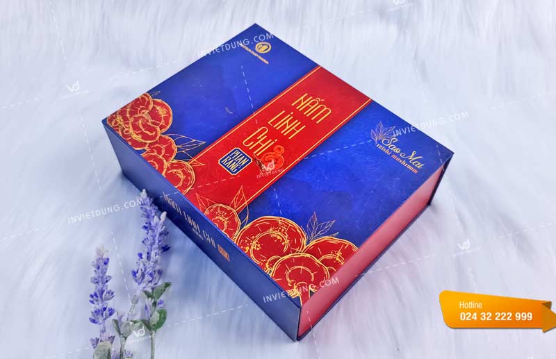 In hộp đựng thực phẩm chức năng nấm linh chi Phan Rang