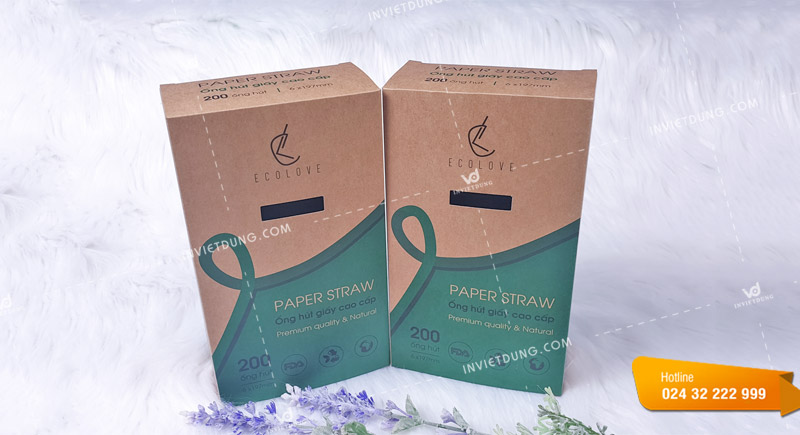 Mẫu hộp giấy đựng ống hút có cửa sổ