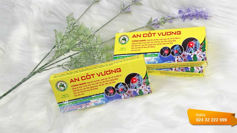 Mẫu hộp đựng thuốc An Cốt Vương