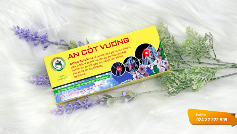 Mẫu hộp đựng thuốc An Cốt Vương