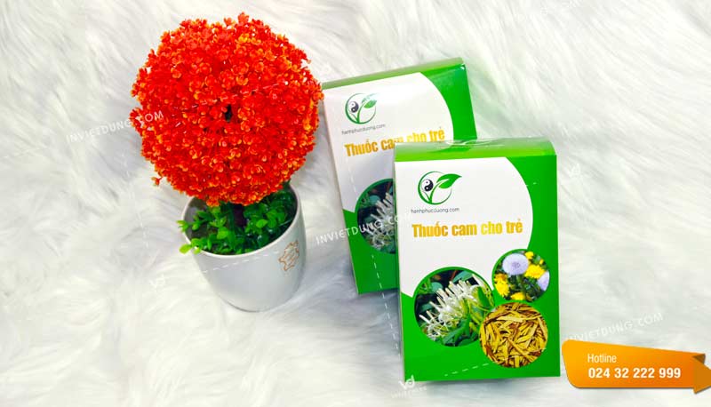 Mẫu hộp đựng thuốc cam cho trẻ 