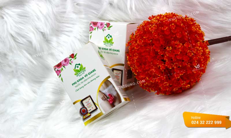 Mẫu hộp đựng thuốc trị viêm phụ khoa Vũ Giang