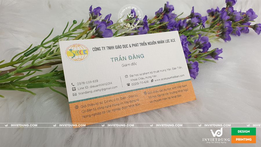 Mẫu card visit giấy mỹ thuật cho Giám đốc