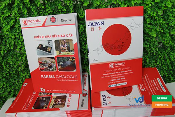In brochure đẹp